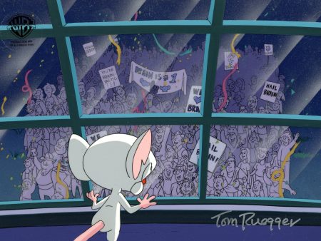 Pinky And The Brain Original Production Cel on Original Background Signed By Tom Ruegger: Brain Cheap