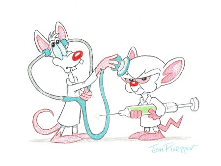 Tom Ruegger Original Signed Drawing: Pinky and the Brain as Doctors Online