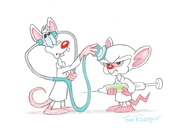 Tom Ruegger Original Signed Drawing: Pinky and the Brain as Doctors Online